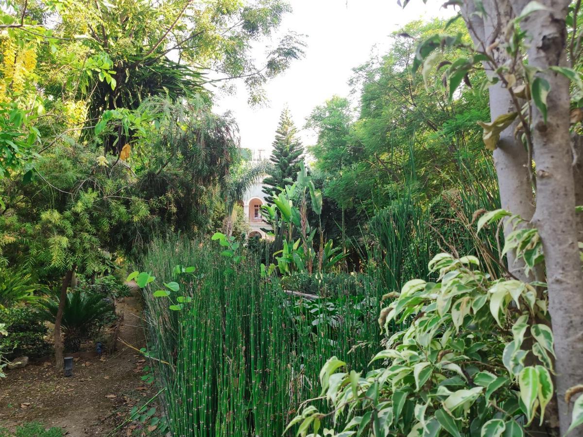 Babil Bahceleri - Gardens Of Babel Bed and Breakfast Lapta Buitenkant foto