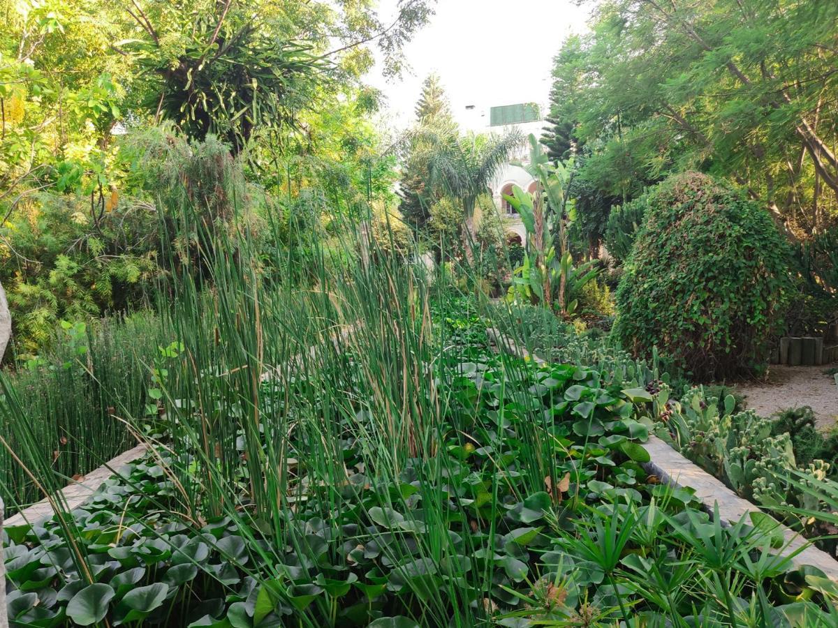 Babil Bahceleri - Gardens Of Babel Bed and Breakfast Lapta Buitenkant foto